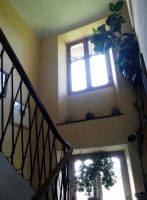 Entrata-4